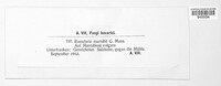 Image Associated With the Occurence